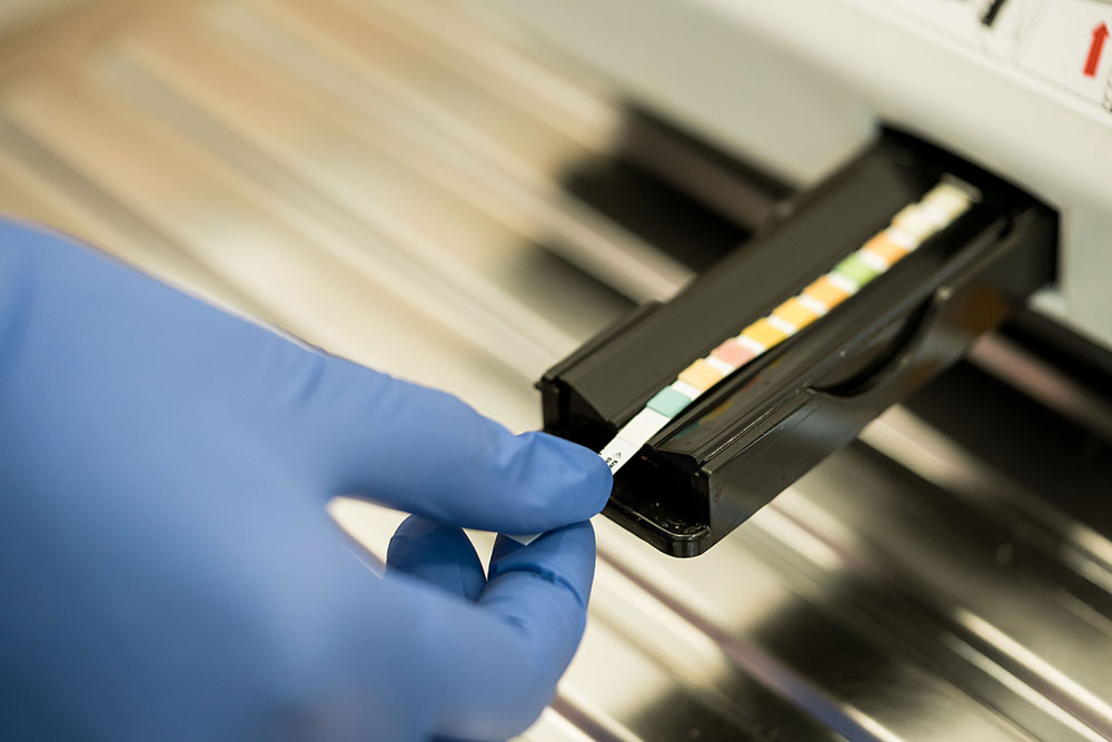 hausarzt-neuenrade-mokaram-praevention hausarzt-neuenrade-mokaram- praevention